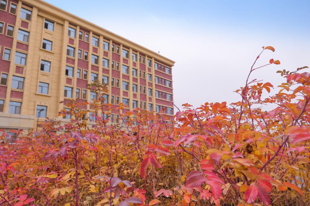 兰州信息科技学院
